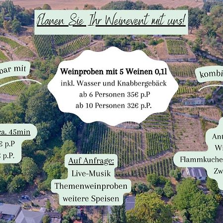 Ferienhaus Traminer Im Weinberg Фрайбург Екстериор снимка