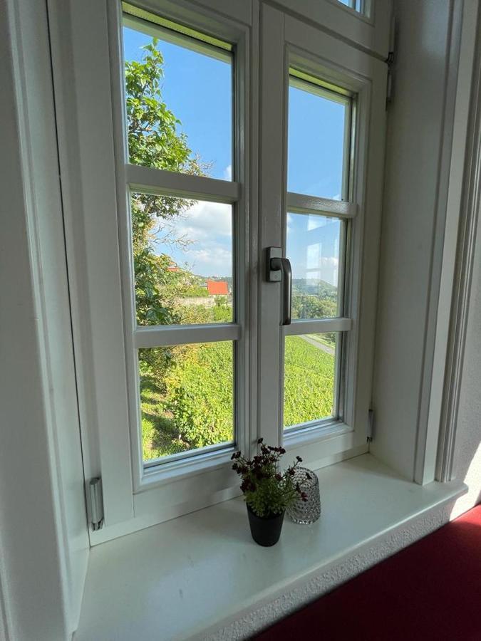 Ferienhaus Traminer Im Weinberg Фрайбург Екстериор снимка