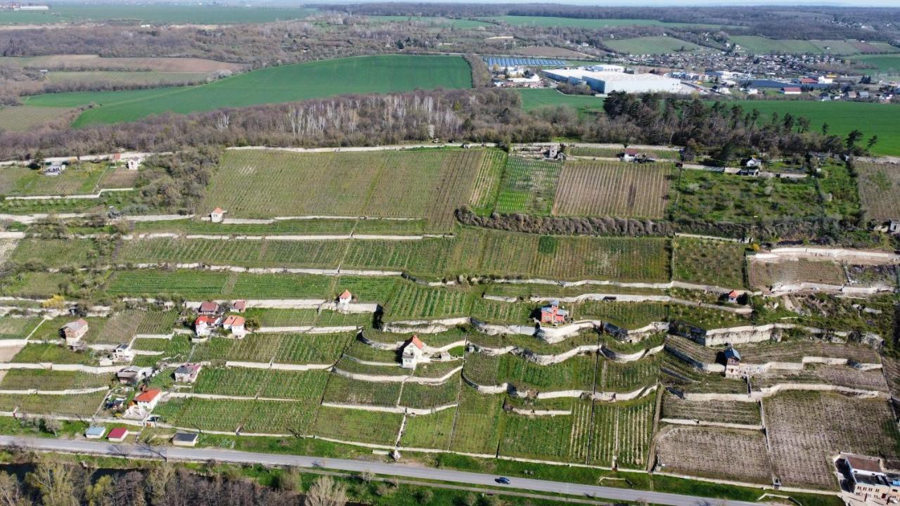 Ferienhaus Traminer Im Weinberg Фрайбург Екстериор снимка