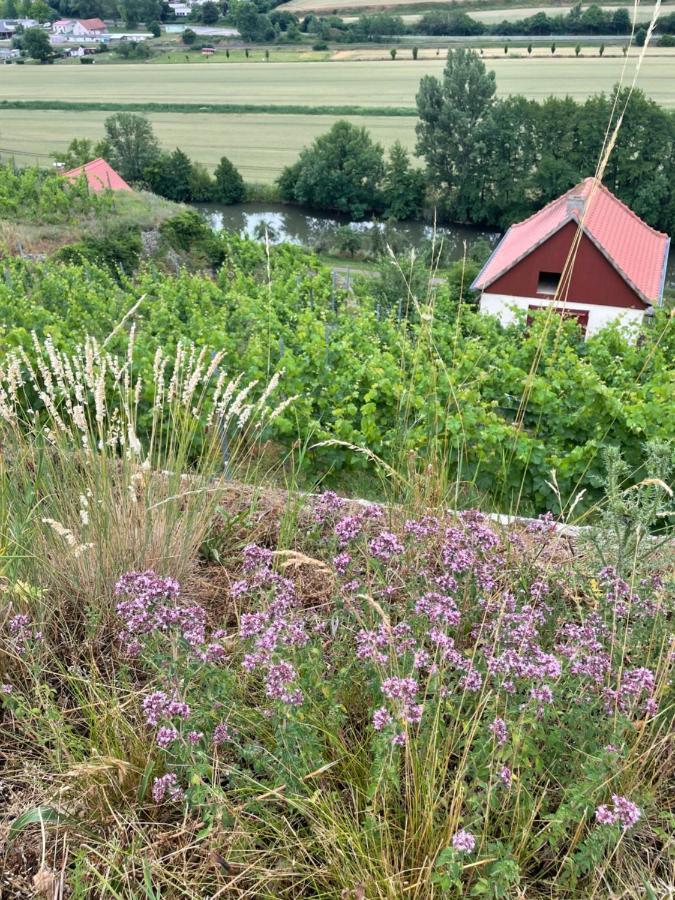 Ferienhaus Traminer Im Weinberg Фрайбург Екстериор снимка